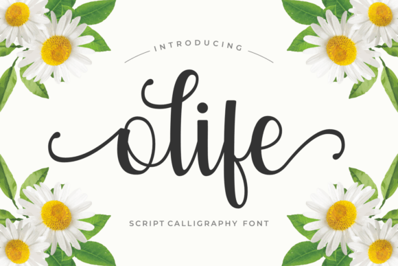 Olife Font — Graceful Script Typography for Creative Projects